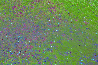 Yüksek çözünürlüklü soyut yüzey dijital verilerden ve geleceksel görselleştirmeden esinlenerek, UI, gösterge panelleri ve teknolojik markalaşma için mükemmel.