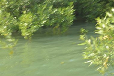 Bangladeş 'teki Cox' s Bazar 'ın gelgit nehrindeki dağınık mangrov ağaçlarının panoramik manzarası. Mavi gökyüzünün altında geniş bir kıyı sulak arazi ekosistemi manzarası.