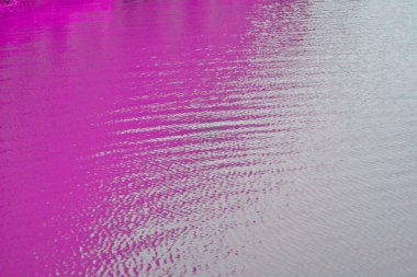 pembe mor su yüzeyi arkaplanı