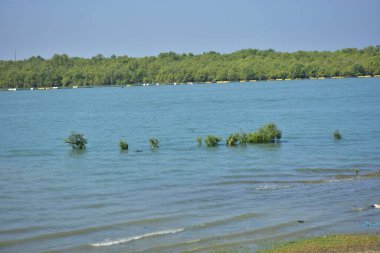 COXS BAZAR, BANGLADESH 20 HAZİRAN 2026: Balıkçı tekneleri Bengal Körfezi 'ne doğru yol almadan önce Bakkhali Nehri' nde bekliyor. Yerel balıkçılar nehir kanalından açık denize güvenli bir şekilde gidebilmek için gelgit su seviyelerine bağımlılar..
