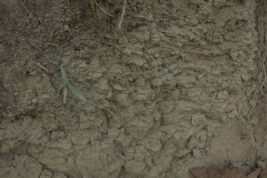 Lama 'dan, Bandarban' dan, Bangladeş 'ten gelen desenli yamaç detayları, katmanlı kil ve çökeltileri gösteriyor, hava tahribatı ve aşınmayla şekillenmiş. İnce çatlaklar, sessiz tonlar ve düzensiz şablonlar arka plan için uygun tepe arazisinin yapısını ortaya koyuyor..