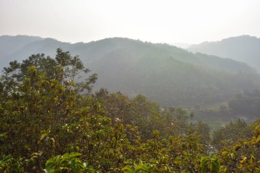 Lama, Bandarban, Bangladeş 'in Hilly manzarası, meşe ağacı (Segun) ve Matamuhuri Nehri' ne bakan karışık ağaç çiftlikleri. Kurak mevsim manzarası katmanlı tepeler, yumuşak güneş ışığı ve sakin kırsal atmosfer..