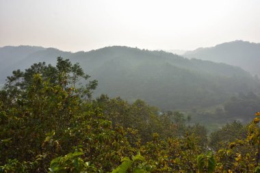 Lama, Bandarban, Bangladeş 'in Hilly manzarası, meşe ağacı (Segun) ve Matamuhuri Nehri' ne bakan karışık ağaç çiftlikleri. Kurak mevsim manzarası katmanlı tepeler, yumuşak güneş ışığı ve sakin kırsal atmosfer..