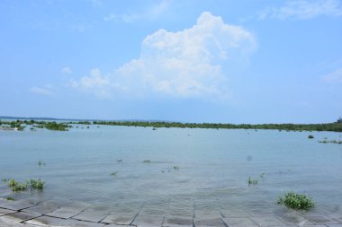 Bakkhali Nehri mangrov ormanı Coxs Bazar, Bangladeş 'teki yüksek gelgit sırasında yemyeşil bitki örtüsünü, gelgit su kanallarını ve geniş bir açık gökyüzünü gösteriyor. Huzurlu kıyı sulak arazi doğal ekosistemleri, sakin atmosferi vurguluyor.