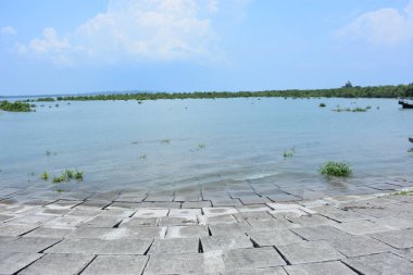 Bakkhali Nehri mangrov ormanı Coxs Bazar, Bangladeş 'teki yüksek gelgit sırasında yemyeşil bitki örtüsünü, gelgit su kanallarını ve geniş bir açık gökyüzünü gösteriyor. Huzurlu kıyı sulak arazi doğal ekosistemleri, sakin atmosferi vurguluyor.