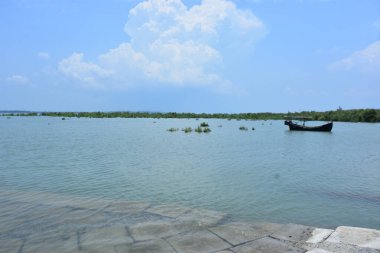 Bakkhali Nehri mangrov ormanı Coxs Bazar, Bangladeş 'teki yüksek gelgit sırasında yemyeşil bitki örtüsünü, gelgit su kanallarını ve geniş bir açık gökyüzünü gösteriyor. Huzurlu kıyı sulak arazi doğal ekosistemleri, sakin atmosferi vurguluyor.