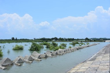 Bakkhali Nehri mangrov ormanı Coxs Bazar, Bangladeş 'teki yüksek gelgit sırasında yemyeşil bitki örtüsünü, gelgit su kanallarını ve geniş bir açık gökyüzünü gösteriyor. Huzurlu kıyı sulak arazi doğal ekosistemleri, sakin atmosferi vurguluyor.