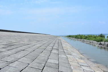Bakkhali Nehri mangrov ormanı Coxs Bazar, Bangladeş 'teki yüksek gelgit sırasında yemyeşil bitki örtüsünü, gelgit su kanallarını ve geniş bir açık gökyüzünü gösteriyor. Huzurlu kıyı sulak arazi doğal ekosistemleri, sakin atmosferi vurguluyor.