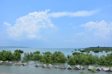 Bakkhali Nehri mangrov ormanı Coxs Bazar, Bangladeş 'teki yüksek gelgit sırasında yemyeşil bitki örtüsünü, gelgit su kanallarını ve geniş bir açık gökyüzünü gösteriyor. Huzurlu kıyı sulak arazi doğal ekosistemleri, sakin atmosferi vurguluyor.