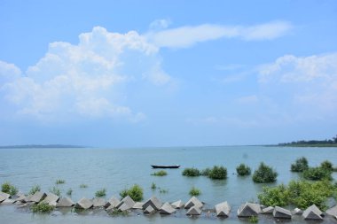 Bakkhali Nehri mangrov ormanı Coxs Bazar, Bangladeş 'teki yüksek gelgit sırasında yemyeşil bitki örtüsünü, gelgit su kanallarını ve geniş bir açık gökyüzünü gösteriyor. Huzurlu kıyı sulak arazi doğal ekosistemleri, sakin atmosferi vurguluyor.