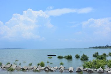 Bakkhali Nehri mangrov ormanı Coxs Bazar, Bangladeş 'teki yüksek gelgit sırasında yemyeşil bitki örtüsünü, gelgit su kanallarını ve geniş bir açık gökyüzünü gösteriyor. Huzurlu kıyı sulak arazi doğal ekosistemleri, sakin atmosferi vurguluyor.