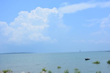 Bakkhali Nehri mangrov ormanı Coxs Bazar, Bangladeş 'teki yüksek gelgit sırasında yemyeşil bitki örtüsünü, gelgit su kanallarını ve geniş bir açık gökyüzünü gösteriyor. Huzurlu kıyı sulak arazi doğal ekosistemleri, sakin atmosferi vurguluyor.