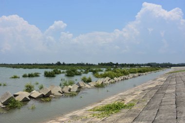 Bakkhali Nehri mangrov ormanı Coxs Bazar, Bangladeş 'teki yüksek gelgit sırasında yemyeşil bitki örtüsünü, gelgit su kanallarını ve geniş bir açık gökyüzünü gösteriyor. Huzurlu kıyı sulak arazi doğal ekosistemleri, sakin atmosferi vurguluyor.