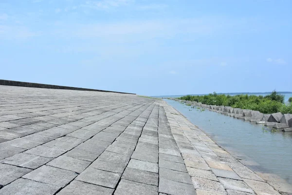 Bakkhali Nehri mangrov ormanı Coxs Bazar, Bangladeş 'teki yüksek gelgit sırasında yemyeşil bitki örtüsünü, gelgit su kanallarını ve geniş bir açık gökyüzünü gösteriyor. Huzurlu kıyı sulak arazi doğal ekosistemleri, sakin atmosferi vurguluyor.