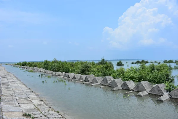 Bakkhali Nehri mangrov ormanı Coxs Bazar, Bangladeş 'teki yüksek gelgit sırasında yemyeşil bitki örtüsünü, gelgit su kanallarını ve geniş bir açık gökyüzünü gösteriyor. Huzurlu kıyı sulak arazi doğal ekosistemleri, sakin atmosferi vurguluyor.