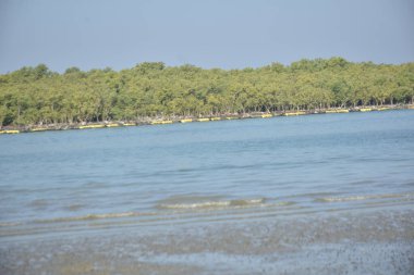 Coxs Bazar, Bangladeş 'te sular çekildiği sırada Bakkhali Nehri geniş kumlu kıyıları, sığ akan suyu ve uzak yeşil kıyı şeridini gözler önüne seriyor. Sakin nehir manzarası mevsimsel değişimi ve kıyı sükunetini vurguluyor.