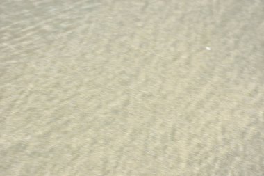 Rüzgâr ve sığ suların oluşturduğu doğal kum dalgalanmaları plaj yüzeyinde soyut desenler oluşturur. Tasarım ve doğa kavramları için ideal minimum kıyı arkaplanı, ince ışık ve organik kumlu detaylar.