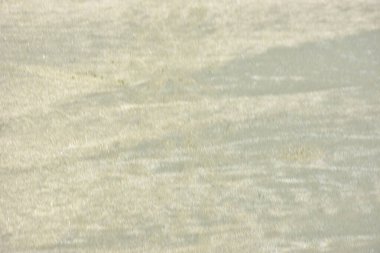 Rüzgâr ve sığ suların oluşturduğu doğal kum dalgalanmaları plaj yüzeyinde soyut desenler oluşturur. Tasarım ve doğa kavramları için ideal minimum kıyı arkaplanı, ince ışık ve organik kumlu detaylar.