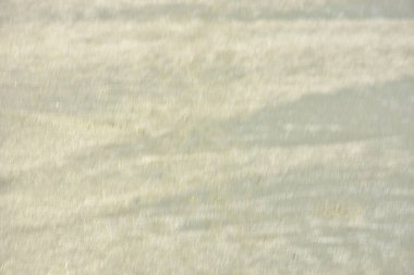 Rüzgâr ve sığ suların oluşturduğu doğal kum dalgalanmaları plaj yüzeyinde soyut desenler oluşturur. Tasarım ve doğa kavramları için ideal minimum kıyı arkaplanı, ince ışık ve organik kumlu detaylar.