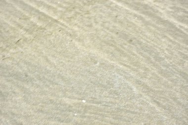 Rüzgâr ve sığ suların oluşturduğu doğal kum dalgalanmaları plaj yüzeyinde soyut desenler oluşturur. Tasarım ve doğa kavramları için ideal minimum kıyı arkaplanı, ince ışık ve organik kumlu detaylar.