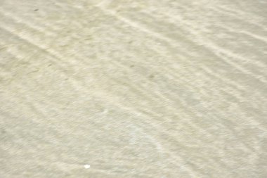 Rüzgâr ve sığ suların oluşturduğu doğal kum dalgalanmaları plaj yüzeyinde soyut desenler oluşturur. Tasarım ve doğa kavramları için ideal minimum kıyı arkaplanı, ince ışık ve organik kumlu detaylar.