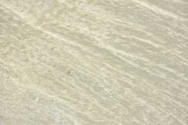 Rüzgâr ve sığ suların oluşturduğu doğal kum dalgalanmaları plaj yüzeyinde soyut desenler oluşturur. Tasarım ve doğa kavramları için ideal minimum kıyı arkaplanı, ince ışık ve organik kumlu detaylar.