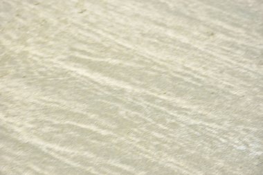 Rüzgâr ve sığ suların oluşturduğu doğal kum dalgalanmaları plaj yüzeyinde soyut desenler oluşturur. Tasarım ve doğa kavramları için ideal minimum kıyı arkaplanı, ince ışık ve organik kumlu detaylar.