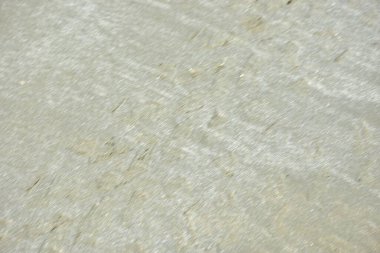 Inani Sahili, Ukhia, Coxs Bazar, Bangladeş 'te doğal kum dalgalanma desenleri. Yumuşak ışık akış çizgilerini ve rüzgar ve su tarafından şekillendirilen organik dokuları vurgular, arka plan ve tasarım için sakin bir kıyı soyut ideal yaratır.