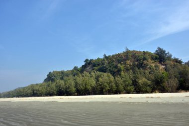 Cox 's Bazar, Bangladeş' teki Marine Drive bölgesinden geniş açılı bir görüntü. Görüntü, açık mavi bir gökyüzü altında açık sirus bulutlarıyla Casuarina ağaçlarının (yerel adıyla Jhau bon) kıyı ormanlarını karşılayan yemyeşil tepeleri göstermektedir..