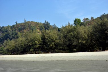 Cox 's Bazar, Bangladeş' teki Marine Drive bölgesinden geniş açılı bir görüntü. Görüntü, açık mavi bir gökyüzü altında açık sirus bulutlarıyla Casuarina ağaçlarının (yerel adıyla Jhau bon) kıyı ormanlarını karşılayan yemyeşil tepeleri göstermektedir..