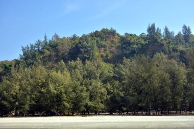 Cox 's Bazar, Bangladeş' teki Marine Drive bölgesinden geniş açılı bir görüntü. Görüntü, açık mavi bir gökyüzü altında açık sirus bulutlarıyla Casuarina ağaçlarının (yerel adıyla Jhau bon) kıyı ormanlarını karşılayan yemyeşil tepeleri göstermektedir..