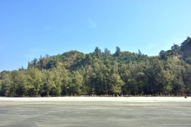 Cox 's Bazar, Bangladeş' teki Marine Drive bölgesinden geniş açılı bir görüntü. Görüntü, açık mavi bir gökyüzü altında açık sirus bulutlarıyla Casuarina ağaçlarının (yerel adıyla Jhau bon) kıyı ormanlarını karşılayan yemyeşil tepeleri göstermektedir..
