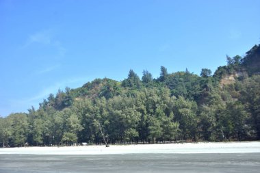 Cox 's Bazar, Bangladeş' teki Marine Drive bölgesinden geniş açılı bir görüntü. Görüntü, açık mavi bir gökyüzü altında açık sirus bulutlarıyla Casuarina ağaçlarının (yerel adıyla Jhau bon) kıyı ormanlarını karşılayan yemyeşil tepeleri göstermektedir..