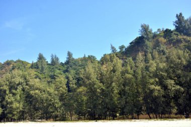 Cox 's Bazar, Bangladeş' teki Marine Drive bölgesinden geniş açılı bir görüntü. Görüntü, açık mavi bir gökyüzü altında açık sirus bulutlarıyla Casuarina ağaçlarının (yerel adıyla Jhau bon) kıyı ormanlarını karşılayan yemyeşil tepeleri göstermektedir..