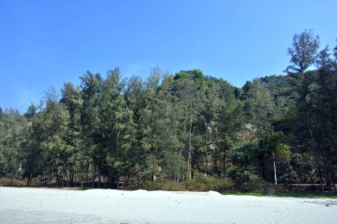 Cox 's Bazar, Bangladeş' teki Marine Drive bölgesinden geniş açılı bir görüntü. Görüntü, açık mavi bir gökyüzü altında açık sirus bulutlarıyla Casuarina ağaçlarının (yerel adıyla Jhau bon) kıyı ormanlarını karşılayan yemyeşil tepeleri göstermektedir..