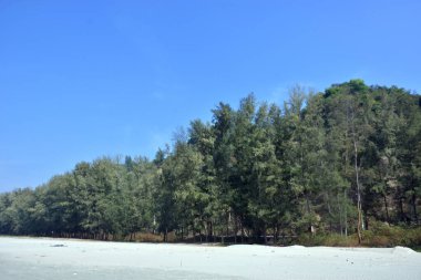 Cox 's Bazar, Bangladeş' teki Marine Drive bölgesinden geniş açılı bir görüntü. Görüntü, açık mavi bir gökyüzü altında açık sirus bulutlarıyla Casuarina ağaçlarının (yerel adıyla Jhau bon) kıyı ormanlarını karşılayan yemyeşil tepeleri göstermektedir..