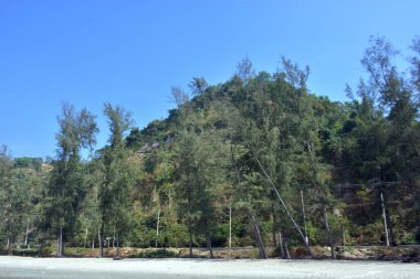 Cox 's Bazar, Bangladeş' teki Marine Drive bölgesinden geniş açılı bir görüntü. Görüntü, açık mavi bir gökyüzü altında açık sirus bulutlarıyla Casuarina ağaçlarının (yerel adıyla Jhau bon) kıyı ormanlarını karşılayan yemyeşil tepeleri göstermektedir..