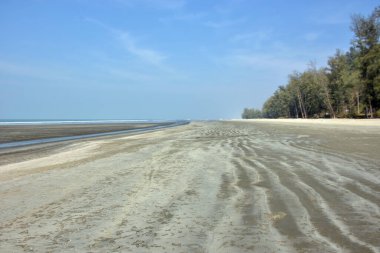 Cox 's Bazar, Bangladeş' teki Marine Drive bölgesinden geniş açılı bir görüntü. Görüntü, açık mavi bir gökyüzü altında açık sirus bulutlarıyla Casuarina ağaçlarının (yerel adıyla Jhau bon) kıyı ormanlarını karşılayan yemyeşil tepeleri göstermektedir..
