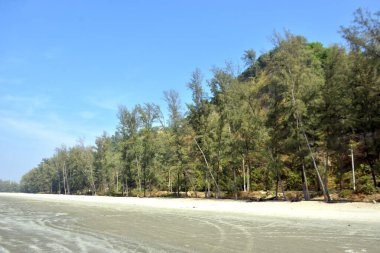 Cox 's Bazar, Bangladeş' teki Marine Drive bölgesinden geniş açılı bir görüntü. Görüntü, açık mavi bir gökyüzü altında açık sirus bulutlarıyla Casuarina ağaçlarının (yerel adıyla Jhau bon) kıyı ormanlarını karşılayan yemyeşil tepeleri göstermektedir..