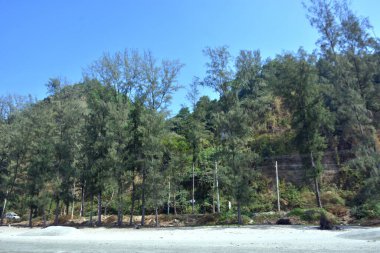 Cox 's Bazar, Bangladeş' teki Marine Drive bölgesinden geniş açılı bir görüntü. Görüntü, açık mavi bir gökyüzü altında açık sirus bulutlarıyla Casuarina ağaçlarının (yerel adıyla Jhau bon) kıyı ormanlarını karşılayan yemyeşil tepeleri göstermektedir..