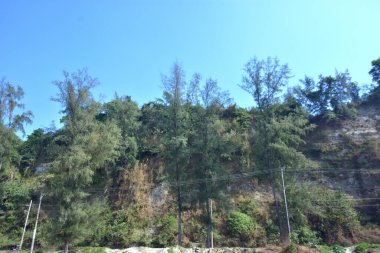 Cox 's Bazar, Bangladeş' teki Marine Drive bölgesinden geniş açılı bir görüntü. Görüntü, açık mavi bir gökyüzü altında açık sirus bulutlarıyla Casuarina ağaçlarının (yerel adıyla Jhau bon) kıyı ormanlarını karşılayan yemyeşil tepeleri göstermektedir..