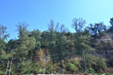 Cox 's Bazar, Bangladeş' teki Marine Drive bölgesinden geniş açılı bir görüntü. Görüntü, açık mavi bir gökyüzü altında açık sirus bulutlarıyla Casuarina ağaçlarının (yerel adıyla Jhau bon) kıyı ormanlarını karşılayan yemyeşil tepeleri göstermektedir..