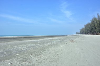 Cox 's Bazar, Bangladeş' teki Marine Drive bölgesinden geniş açılı bir görüntü. Görüntü, açık mavi bir gökyüzü altında açık sirus bulutlarıyla Casuarina ağaçlarının (yerel adıyla Jhau bon) kıyı ormanlarını karşılayan yemyeşil tepeleri göstermektedir..