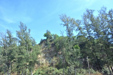 Cox 's Bazar, Bangladeş' teki Marine Drive bölgesinden geniş açılı bir görüntü. Görüntü, açık mavi bir gökyüzü altında açık sirus bulutlarıyla Casuarina ağaçlarının (yerel adıyla Jhau bon) kıyı ormanlarını karşılayan yemyeşil tepeleri göstermektedir..