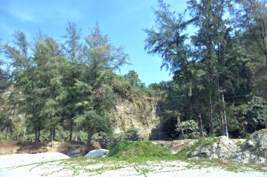 Cox 's Bazar, Bangladeş' teki Marine Drive bölgesinden geniş açılı bir görüntü. Görüntü, açık mavi bir gökyüzü altında açık sirus bulutlarıyla Casuarina ağaçlarının (yerel adıyla Jhau bon) kıyı ormanlarını karşılayan yemyeşil tepeleri göstermektedir..