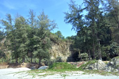Cox 's Bazar, Bangladeş' teki Marine Drive bölgesinden geniş açılı bir görüntü. Görüntü, açık mavi bir gökyüzü altında açık sirus bulutlarıyla Casuarina ağaçlarının (yerel adıyla Jhau bon) kıyı ormanlarını karşılayan yemyeşil tepeleri göstermektedir..