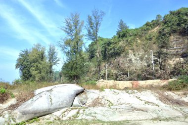 Inani Sahili, Cox 's Bazar, Bangladeş' teki doğal manzaranın geniş açılı bir görüntüsü. Görüntü, tepe arazisinin eşsiz buluşma noktasını ve Deniz Yolu boyunca uzanan Casuarina (Jhau) ormanını yakalıyor..