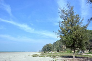 Inani Sahili, Cox 's Bazar, Bangladeş' teki doğal manzaranın geniş açılı bir görüntüsü. Görüntü, tepe arazisinin eşsiz buluşma noktasını ve Deniz Yolu boyunca uzanan Casuarina (Jhau) ormanını yakalıyor..