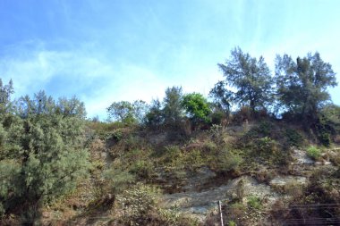 Inani Sahili, Cox 's Bazar, Bangladeş' teki doğal manzaranın geniş açılı bir görüntüsü. Görüntü, tepe arazisinin eşsiz buluşma noktasını ve Deniz Yolu boyunca uzanan Casuarina (Jhau) ormanını yakalıyor..
