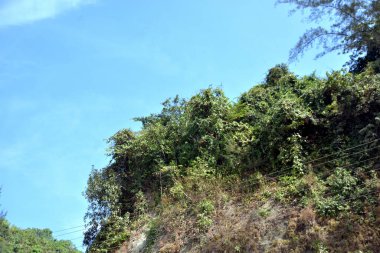 Inani Sahili, Cox 's Bazar, Bangladeş' teki doğal manzaranın geniş açılı bir görüntüsü. Görüntü, tepe arazisinin eşsiz buluşma noktasını ve Deniz Yolu boyunca uzanan Casuarina (Jhau) ormanını yakalıyor..